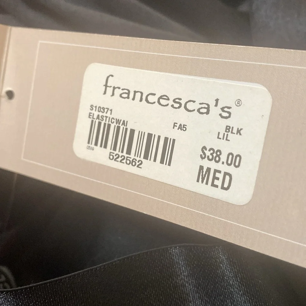 Francesca’s Clara Black‎ Tulle Midi Skirt